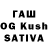 Псилоцибиновые грибы GOLDEN TEACHER Ruslan Zarifullin