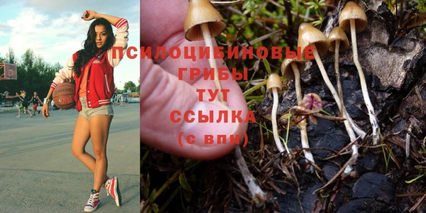 MDMA Premium VHQ Козловка