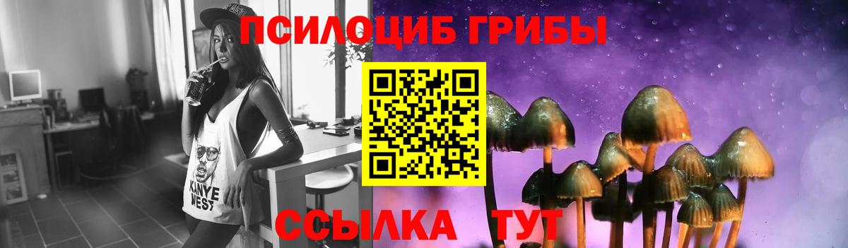 Псилоцибиновые грибы мицелий Нарьян-Мар
