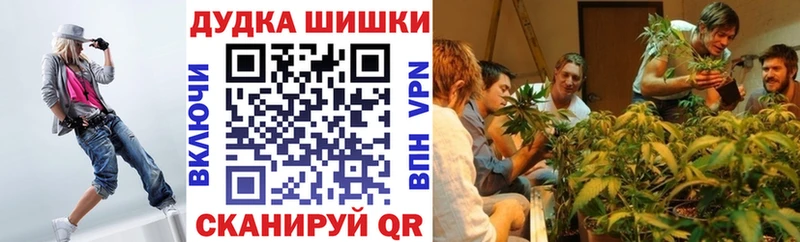дарк нет формула  Нарьян-Мар  Канабис Ganja 